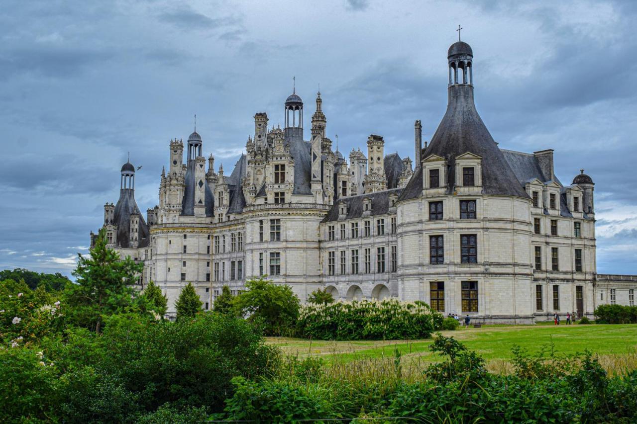 Auberge De La Caillere Cande-sur-Beuvron Luaran gambar